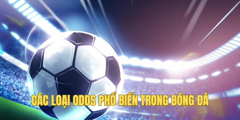 Các loại Odds trong bóng đá là gì