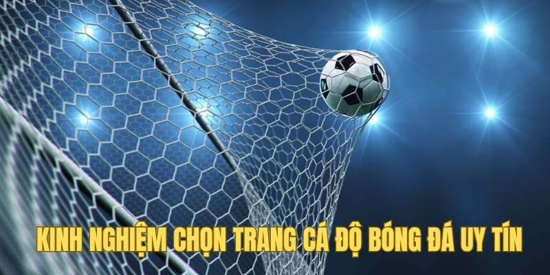 Kinh nghiệm chọn trang cá độ bóng đá uy tín