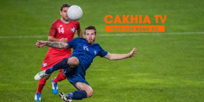 Lưu ý khi sử dụng Cà Khịa TV để đạt hiệu quả tốt nhất