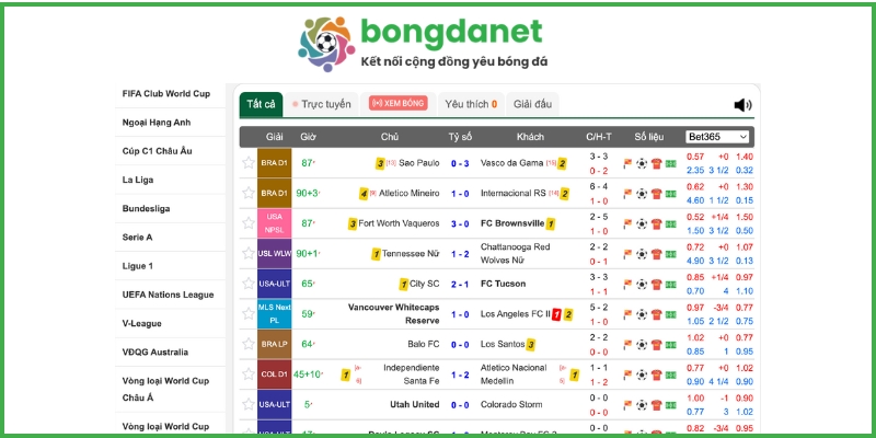 Lý do khiến Bongdanet trở thành lựa chọn hàng đầu của người chơi