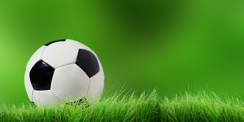 Những thủ thuật cơ bản trong cá cược