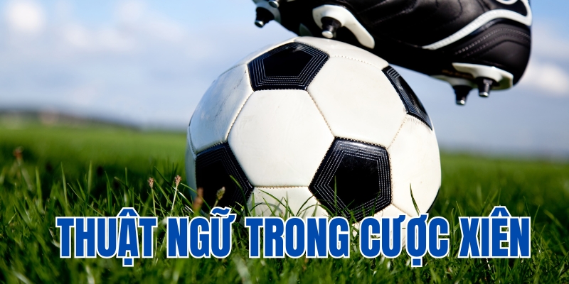 Những thuật ngữ trong cược xiên là gì?