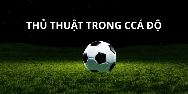 Tầm quan trọng của thủ thuật trong cá cược