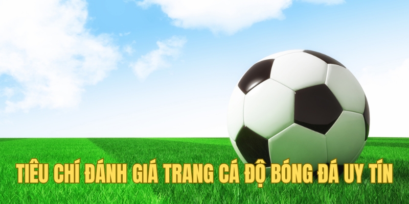 Tiêu chí đánh giá trang cá độ bóng đá uy tín