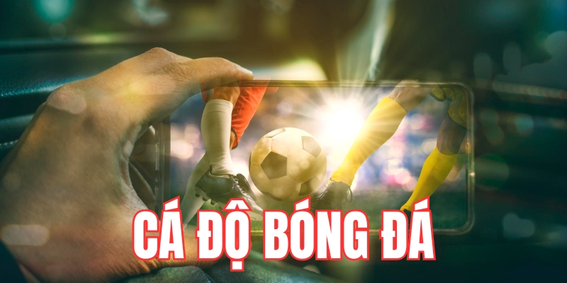 Tìm hiểu cá độ bóng đá là gì?